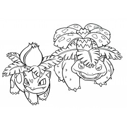 Ivysaur and Venusaur