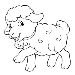 Sheep with a bell