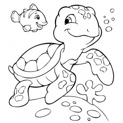 Cute sea turtle