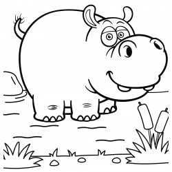 Funny hippopotamus