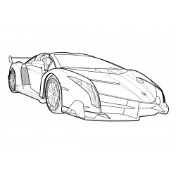 Lamborghini Veneno Roadster (2014)
