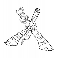 Donatello is holding a pole-bo