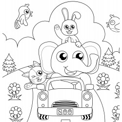 Elephant drives the car
