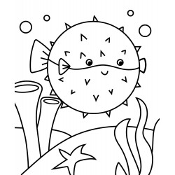Round fugu fish