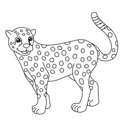 Jolly jaguar