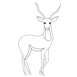 Wonderful antelope
