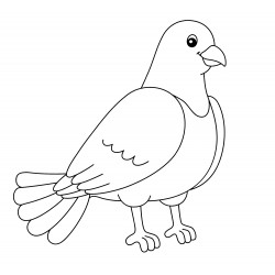 Realistic pigeon