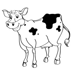 Cow with a large udder