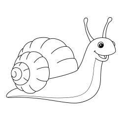 Snail with a nice shell