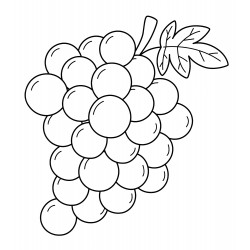 Round grapes