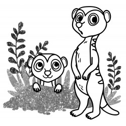 Two meerkats