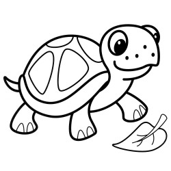 Tortoise with a leaf