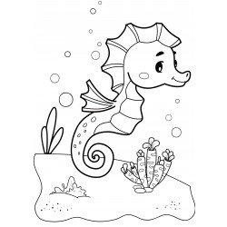Seahorse on the bottom
