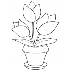 Three tulips in a pot