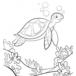 Turtle among the coral