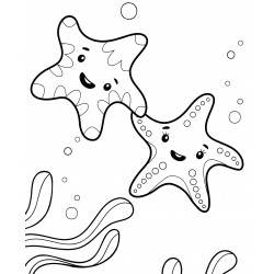 Two starfish