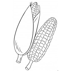 Juicy corn