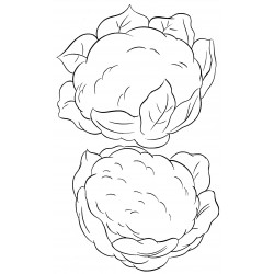 Two bobbins of cauliflower