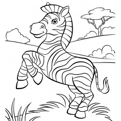 Zebra stands on its hind legs