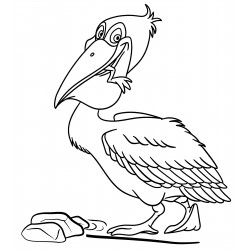 Pelican eats a frog