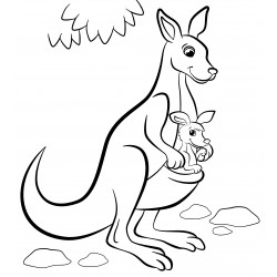 Kangaroo with a grown baby