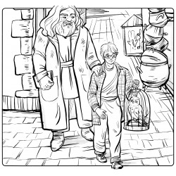 Hagrid and Harry in a Diagon Alley