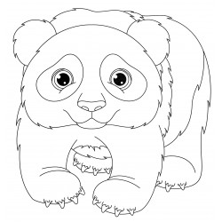 Cute little panda