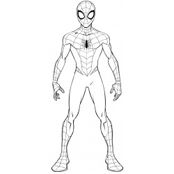 Spider-Man in full size