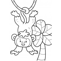 Monkey on a Vine