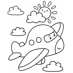 Airplane in the sky