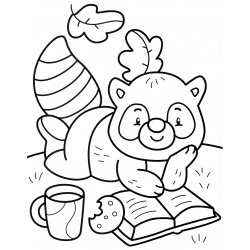 Raccoon with a book