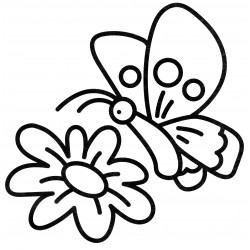Butterfly over a beautiful flower