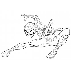 Spider-Man crouched down