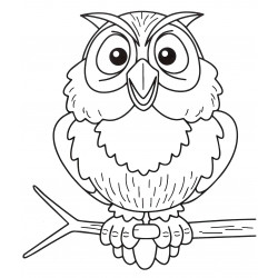 An owl on a branch