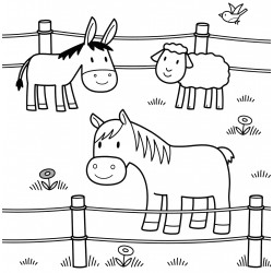 Horse and donkey grazing