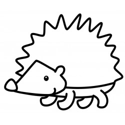 Spiny hedgehog