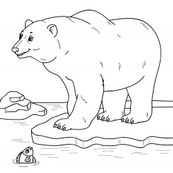 Polar bear on an ice floe