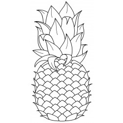 Large juicy pineapple