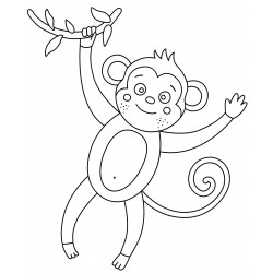 Friendly monkey