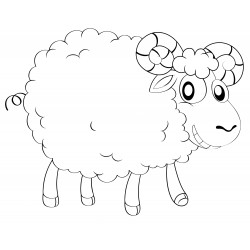 Jolly sheep