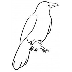 Realistic crow