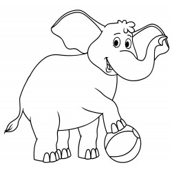 Elephant with a ball