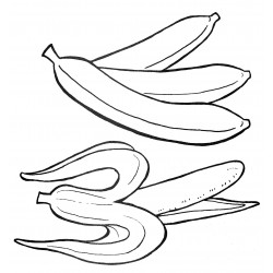Banana twig