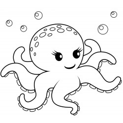 Beautiful octopus