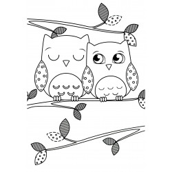 Two owls on a branch