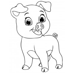 Sweet pig