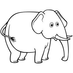 Odd elephant