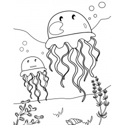 Two funny jellyfish