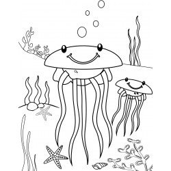 Jellyfish are smiling