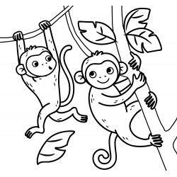 Monkeys hanging in a tree